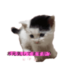 舞の。（個別スタンプ：8）
