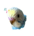 my little bird s14785236963258741s s（個別スタンプ：2）