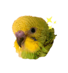 my little bird s14785236963258741s s（個別スタンプ：3）