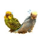 my little bird s14785236963258741s s（個別スタンプ：4）