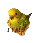 my little bird s14785236963258741s s（個別スタンプ：5）