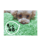 ☆☆★☆（個別スタンプ：2）