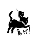 黒子猫～くろこねこ～（個別スタンプ：11）