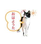 ようたの日常ステッカー（個別スタンプ：5）