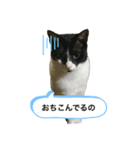 ようたの日常ステッカー（個別スタンプ：8）