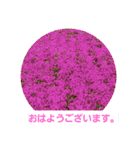 春の花 丁寧言葉（個別スタンプ：1）