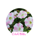 春の花 丁寧言葉（個別スタンプ：2）