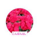 春の花 丁寧言葉（個別スタンプ：3）