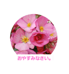 春の花 丁寧言葉（個別スタンプ：4）