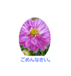 春の花 丁寧言葉（個別スタンプ：5）