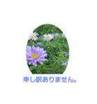 春の花 丁寧言葉（個別スタンプ：7）
