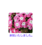 春の花 丁寧言葉（個別スタンプ：11）