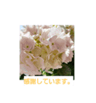 春の花 丁寧言葉（個別スタンプ：18）
