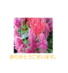 春の花 丁寧言葉（個別スタンプ：19）