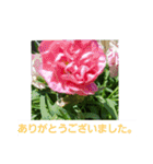 春の花 丁寧言葉（個別スタンプ：20）