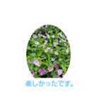 春の花 丁寧言葉（個別スタンプ：22）