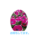 春の花 丁寧言葉（個別スタンプ：23）
