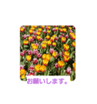 春の花 丁寧言葉（個別スタンプ：29）