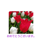 春の花 丁寧言葉（個別スタンプ：32）