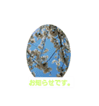 春の花 丁寧言葉（個別スタンプ：33）