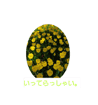 春の花 丁寧言葉（個別スタンプ：34）
