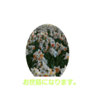 春の花 丁寧言葉（個別スタンプ：36）