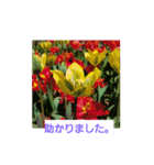 春の花 丁寧言葉（個別スタンプ：39）