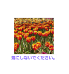 春の花 丁寧言葉（個別スタンプ：40）