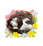 おにへい（個別スタンプ：5）