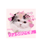 はぴちゃんの日常会話No2（個別スタンプ：1）