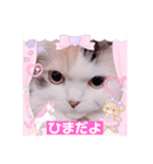 はぴちゃんの日常会話No2（個別スタンプ：4）