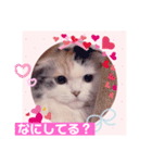 はぴちゃんの日常会話No2（個別スタンプ：5）