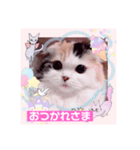 はぴちゃんの日常会話No2（個別スタンプ：8）