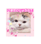 はぴちゃんの日常会話No2（個別スタンプ：9）