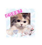 はぴちゃんの日常会話No2（個別スタンプ：11）