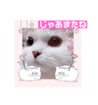 はぴちゃんの日常会話No2（個別スタンプ：14）