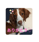 ブリ★flanスタンプその1（個別スタンプ：5）