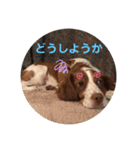 ブリ★flanスタンプその1（個別スタンプ：14）