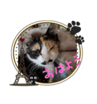 どうかな！？（個別スタンプ：4）
