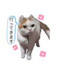 ねこちゃんズ☆（個別スタンプ：4）
