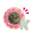 ねこちゃんズ☆（個別スタンプ：5）