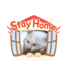 ねこちゃんズ☆（個別スタンプ：11）