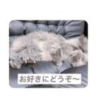 チャコとモコさん（個別スタンプ：2）