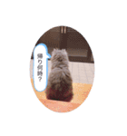チャコとモコさん（個別スタンプ：5）