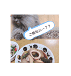 チャコとモコさん（個別スタンプ：6）