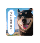 チャコとモコさん（個別スタンプ：10）