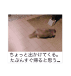 チャコとモコさん（個別スタンプ：15）