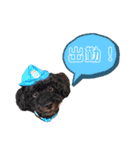 ジャックとアランのスタンプ（個別スタンプ：7）