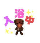 ジャックとアランのスタンプ（個別スタンプ：16）