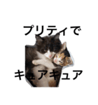 猛将の姫 おこめ（個別スタンプ：16）